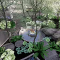 Modern Courtyard Garden Design With Lush Green Plants And Water Feature