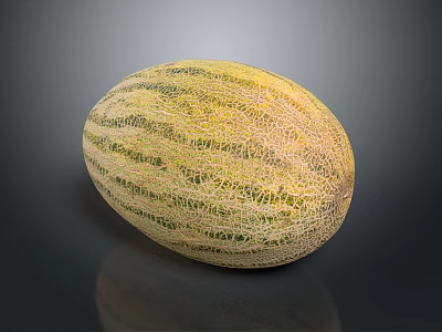 Fresh Ripe Cantaloupe Melon With Netted Skin And Green And Yellow Stripes On Smooth Surface 3d model