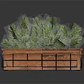 Green Plants in Rectangular Wooden Planter with Black Metal Decorative Borders on Dark Reflective Surface