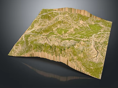 3D Terrain Model With Detailed Topographic Features And Lush Green Landscape 3d model