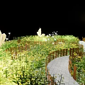 Magical Garden With Fence Green Plants White Flowers Floating Yellow Butterfly And Starry Night Sky