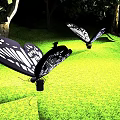 Illuminated Butterfly Shaped Outdoor Lights with Intricate Patterns in Garden Grass