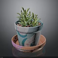 Colorful Decorative Flower Pot With Saucer And Green Succulent Plants