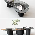 Modern Glass Coffee Table With Black Cylindrical Legs Magazine Books And Vase With Green Plant
