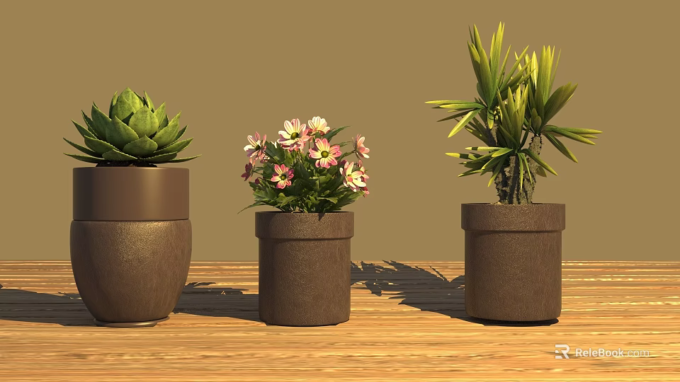 Three Potted Succulent Pink Flowering And Palm Like Plants On Wooden Table Brown Background 3d model 