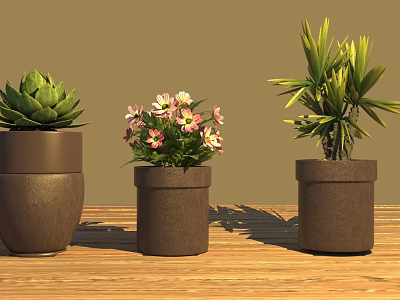 Three Potted Succulent Pink Flowering And Palm Like Plants On Wooden Table Brown Background 3d model