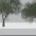 Diverse Arbor Trees With Various Shapes Sizes And Lush Foliage For Landscape Design