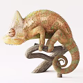 Decorative Ornament Set with Chameleon Figurine Vase Citrus Branch and Metallic Accents