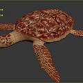 Red Orange Patterned Turtle with Detailed Shell and Flippers 3D Rendered on Dark Background