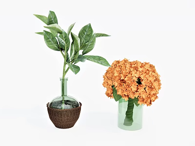 Decorative Glass Vases With Woven Accent Green Leaves And Orange Hydrangea Flowers 3d model