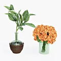 Decorative Glass Vases With Woven Accent Green Leaves And Orange Hydrangea Flowers