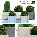 Stylish Decorative Ornament Set With Various Colored Planters And Green Plants