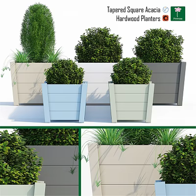 Stylish Decorative Ornament Set With Various Colored Planters And Green Plants 3d model