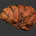 Detailed Orange Scaly Pine Cone Structure With Reflective Surface On Dark Background