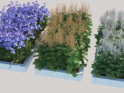 Modern Flower Orchid White Flower Shrub Ornamental Grass 3d model