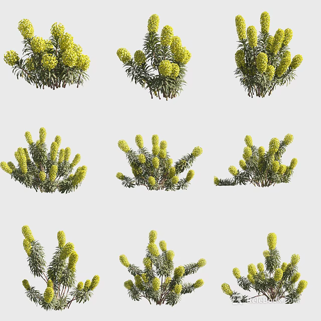 Multiple Yellow Flowering Plants With Green Branches Arranged In Decorative Pattern 3d model