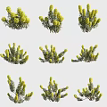 Multiple Yellow Flowering Plants With Green Branches Arranged In Decorative Pattern 3d model