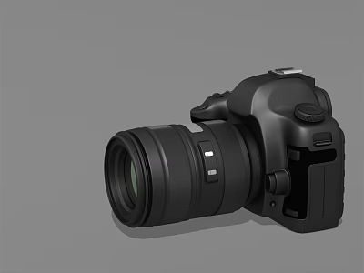 Professional Black Digital SLR Camera With Large Lens For Photography 3d model