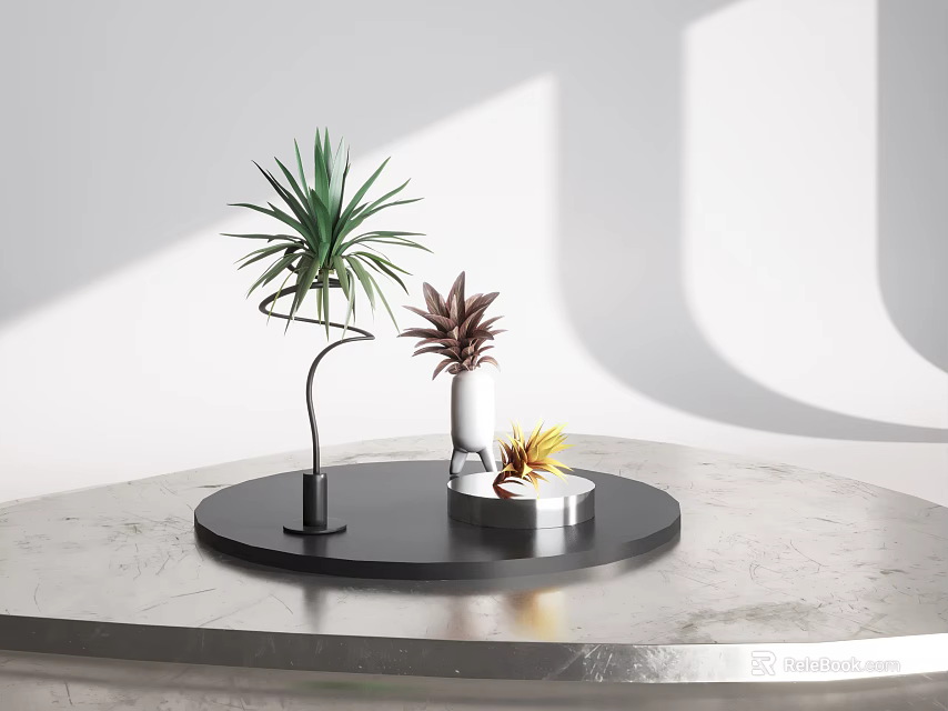 Green Red And Yellow Decorative Indoor Plants On Black Circular Tray With Gray Tabletop 3d model 