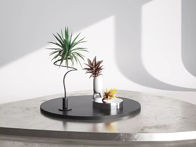 Green Red And Yellow Decorative Indoor Plants On Black Circular Tray With Gray Tabletop 3d model