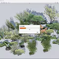 Arboreal Trees With Various Species And Forms In Natural Garden Landscape With Stones