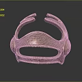 Copper Animal Shaped Decorative Metal Ornament With Intricate Design Features