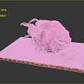 Fresh Pink Dragon Fruit on Wooden Cutting Board with Black Background