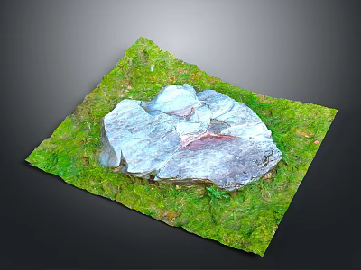 Natural Green Grassland With Large Gray Rock And Lush Vegetation 3d model