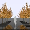 Deciduous Arbor With Orange Leaves In Rows Black Planters Person Walking And Reflections