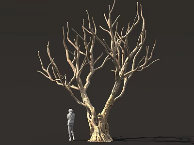 Tall Leafless Tree With Thick Trunk Twisted Branches And Small Figure Beside 3d model