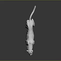 White Tiger Sculpture 3D Rendered With Muscular Details In Standing Pose On Black Background