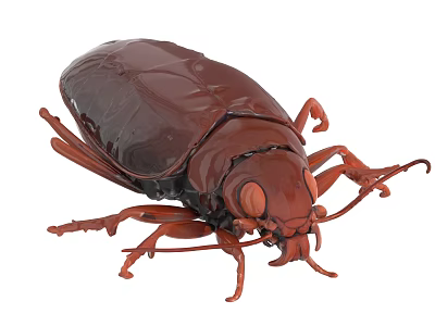 Realistic 3D Render Of Brown Beetle With Detailed Exoskeleton And Legs 3d model