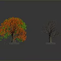 Three Varied Trees With Green Foliage Red Leaves And Leafless Branches On Dark Background
