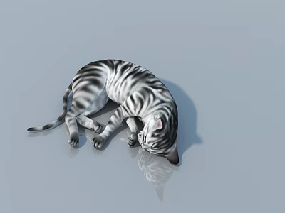 Black and White Striped Cat Sculpture in Curled Up Sleeping Position With Reflection 3d model