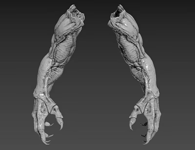 Realistic Muscular Creature Claws 3D Model With Textured Skin And Sharp Talons 3d model
