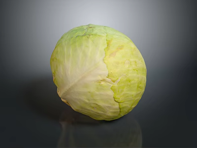 Fresh Green Whole Cabbage With Natural Texture On Dark Background 3d model