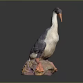 Gray And White Bird Sculpture With Orange Beak Feet On Colorful Rock Base