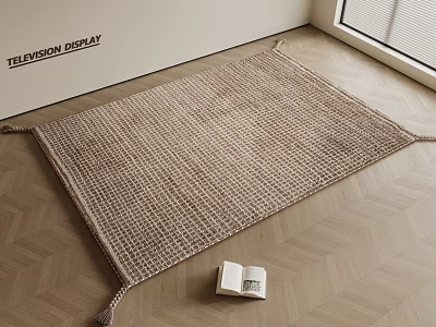 Beige Woven Square Rug On Wooden Floor With Books And Television Display Area 3d model