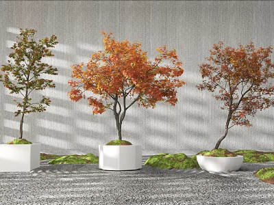 Bonsai Plants Featuring Maple Leaves In White Pots Against Gray Wall With Gravel And Moss 3d model