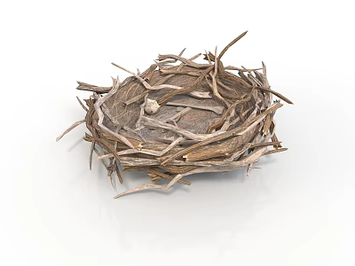 Handmade Natural Plant Twig Bird Nest Structure Isolated On White Background 3d model