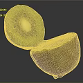 Fresh Ripe Kiwi Fruit Sliced In Half Showing Green Flesh Black Seeds And Yellow Center