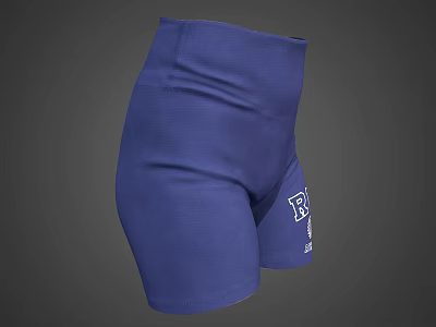 Blue High Waisted Stretchy Shorts With White Logo And Comfortable Fit 3d model