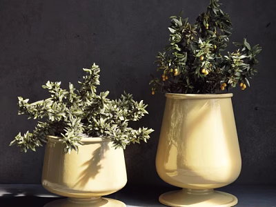 Two Decorative Potted Plants in Yellow Ceramic Pots with Green Foliage and Small Yellow Fruits 3d model