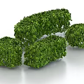 Lush Green Geometric Shaped Shrubs For Garden Decoration And Landscaping Projects