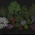 Diverse Arbor Trees Collection For Landscape Design With Various Colors And Species
