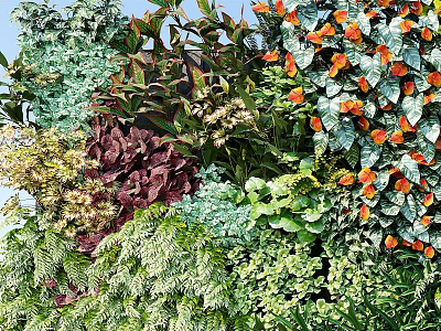Living Plant Wall Featuring Diverse Green Foliage Orange Flowers And Vibrant Leaves 3d model