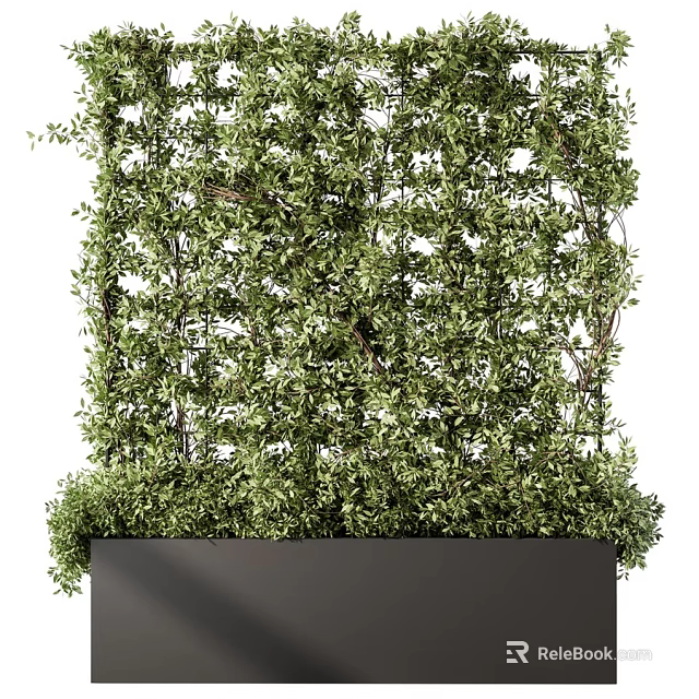 Decorative Plant Arrangement with Lush Green Foliage and Black Planter 3d model 