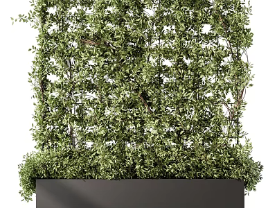Decorative Plant Arrangement with Lush Green Foliage and Black Planter 3d model