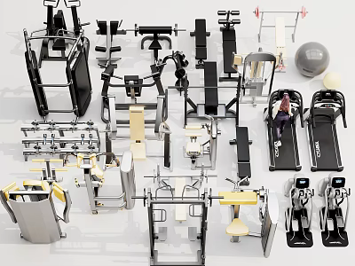 Comprehensive Fitness Equipment Collection With Treadmill Dumbbells Exercise Ball Weight Bench And Rowing Machine 3d model