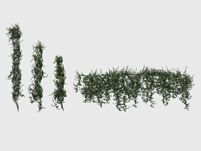 Decorative Green Vines For Home Garden With Vertical And Hanging Styles 3d model